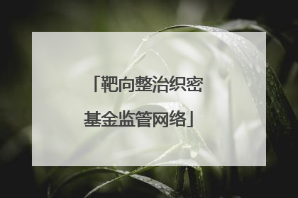 靶向整治织密基金监管网络