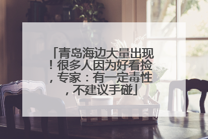 青岛海边大量出现！很多人因为好看捡，专家：有一定毒性，不建议手碰