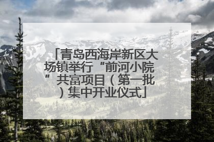 青岛西海岸新区大场镇举行“前河小院”共富项目（第一批）集中开业仪式