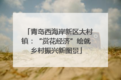 青岛西海岸新区大村镇：“赏花经济”绘就乡村振兴新图景