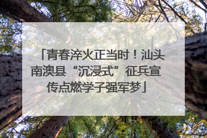 青春淬火正当时！汕头南澳县“沉浸式”征兵宣传点燃学子强军梦