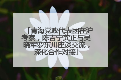 青海党政代表团在沪考察，陈吉宁龚正与吴晓军罗东川座谈交流，深化合作对接