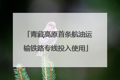 青藏高原首条航油运输铁路专线投入使用