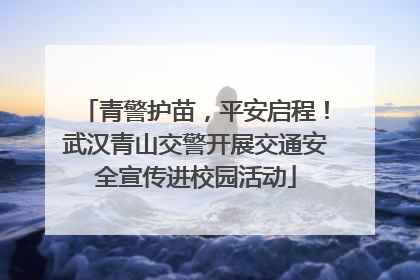 青警护苗，平安启程！武汉青山交警开展交通安全宣传进校园活动