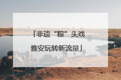 非遗“粽”头戏 雅安玩转新流量