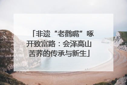非遗“老鹳嘴”啄开致富路：会泽高山苦荞的传承与新生