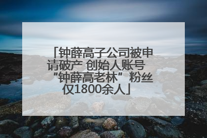 钟薛高子公司被申请破产 创始人账号“钟薛高老林”粉丝仅1800余人