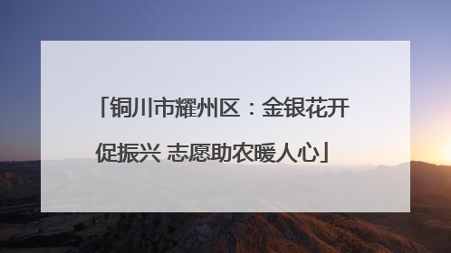 铜川市耀州区：金银花开促振兴 志愿助农暖人心