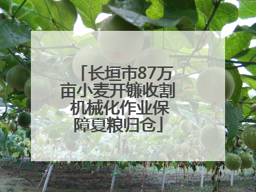 长垣市87万亩小麦开镰收割 机械化作业保障夏粮归仓
