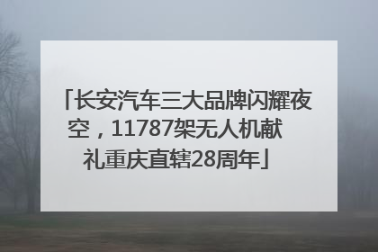 长安汽车三大品牌闪耀夜空，11787架无人机献礼重庆直辖28周年