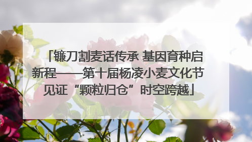 镰刀割麦话传承 基因育种启新程——第十届杨凌小麦文化节见证“颗粒归仓”时空跨越