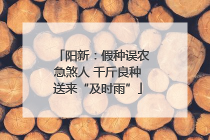 阳新：假种误农急煞人 千斤良种送来“及时雨”