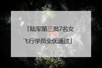 陆军第三批7名女飞行学员全优通过