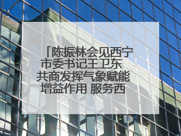 陈振林会见西宁市委书记王卫东 共商发挥气象赋能增益作用 服务西宁经济社会高质量发展