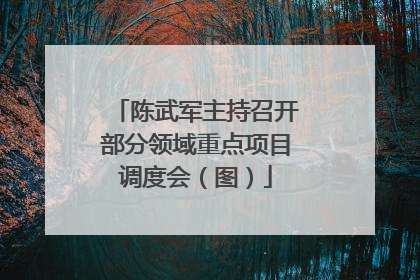 陈武军主持召开部分领域重点项目调度会（图）