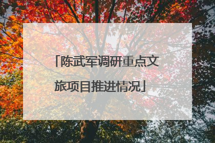 陈武军调研重点文旅项目推进情况