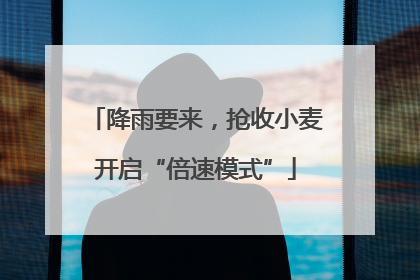 降雨要来，抢收小麦开启“倍速模式”