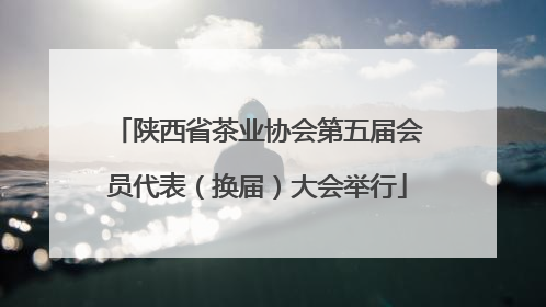 陕西省茶业协会第五届会员代表（换届）大会举行