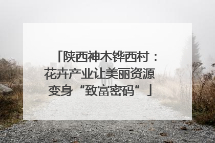 陕西神木铧西村：花卉产业让美丽资源变身“致富密码”