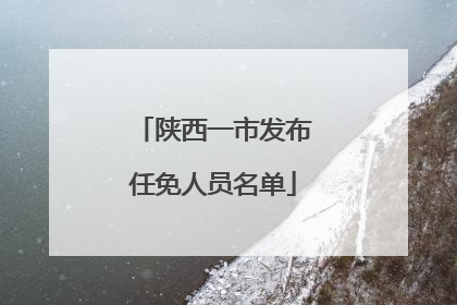 陕西一市发布任免人员名单