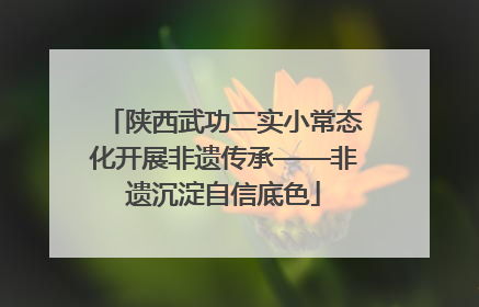 陕西武功二实小常态化开展非遗传承——非遗沉淀自信底色