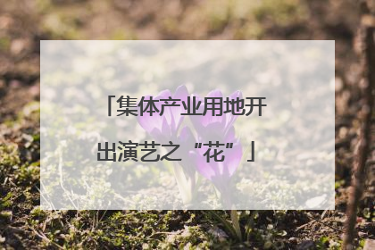 集体产业用地开出演艺之“花”