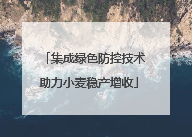 集成绿色防控技术助力小麦稳产增收