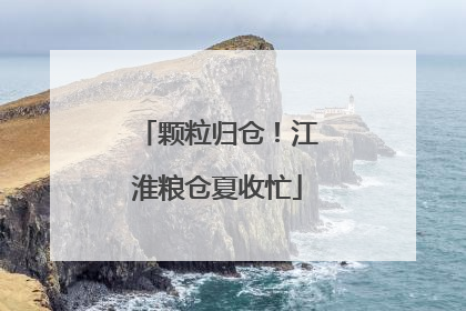颗粒归仓！江淮粮仓夏收忙