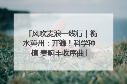 风吹麦浪一线行｜衡水冀州：开镰！科学种植 奏响丰收序曲