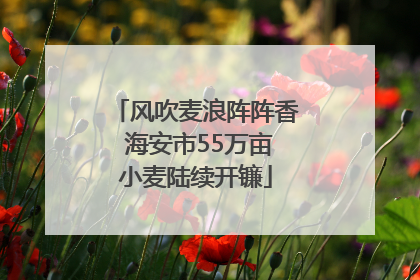 风吹麦浪阵阵香 海安市55万亩小麦陆续开镰