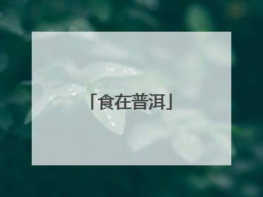 食在普洱
