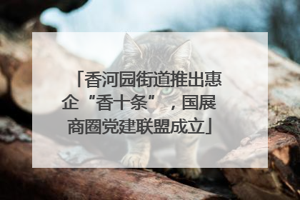 香河园街道推出惠企“香十条”，国展商圈党建联盟成立