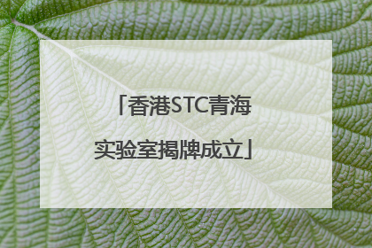 香港STC青海实验室揭牌成立