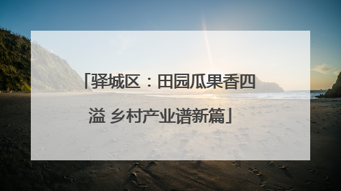 驿城区：田园瓜果香四溢 乡村产业谱新篇