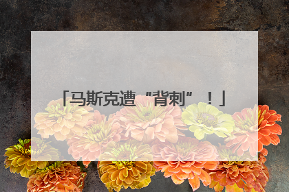 马斯克遭“背刺”！