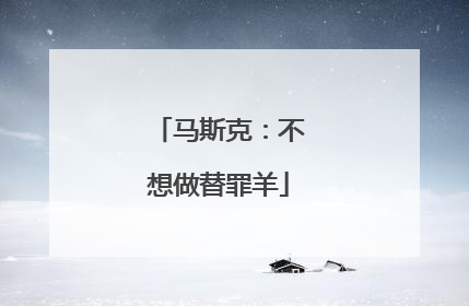马斯克：不想做替罪羊