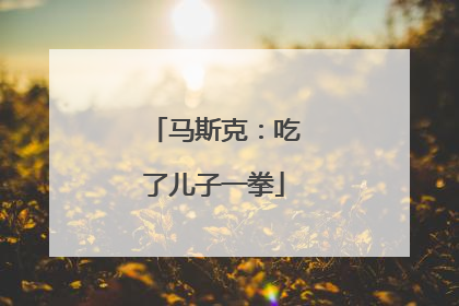 马斯克：吃了儿子一拳
