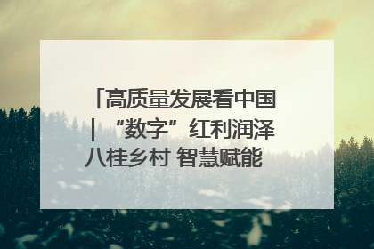 高质量发展看中国｜“数字”红利润泽八桂乡村 智慧赋能绘就振兴画卷