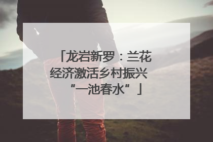 龙岩新罗：兰花经济激活乡村振兴“一池春水”