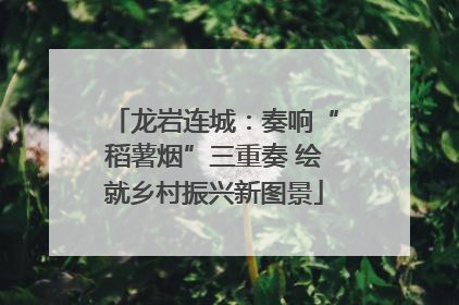 龙岩连城：奏响“稻薯烟”三重奏 绘就乡村振兴新图景