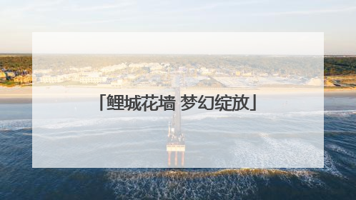 鲤城花墙 梦幻绽放