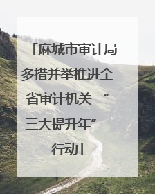 麻城市审计局多措并举推进全省审计机关 “三大提升年” 行动