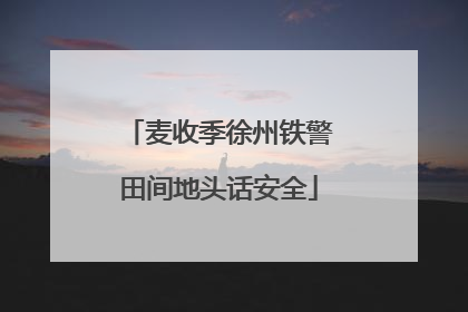 麦收季徐州铁警田间地头话安全