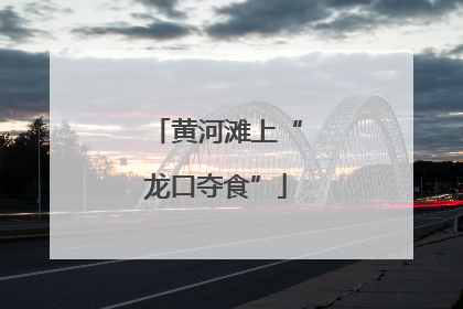 黄河滩上“龙口夺食”