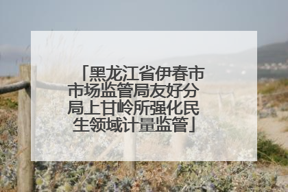 黑龙江省伊春市市场监管局友好分局上甘岭所强化民生领域计量监管