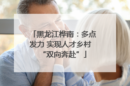 黑龙江桦南：多点发力 实现人才乡村“双向奔赴”