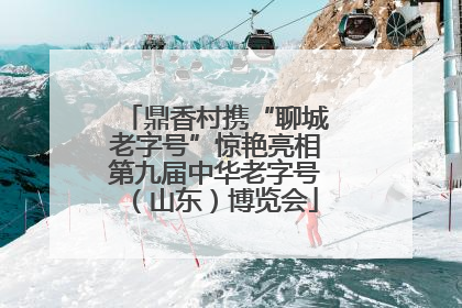 鼎香村携“聊城老字号”惊艳亮相第九届中华老字号（山东）博览会