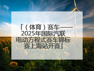 （体育）赛车——2025年国际汽联电动方程式赛车锦标赛上海站开赛