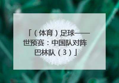 （体育）足球——世预赛：中国队对阵巴林队（3）