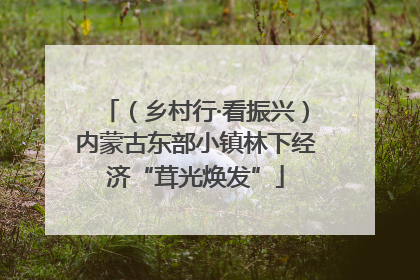 （乡村行·看振兴）内蒙古东部小镇林下经济“茸光焕发”
